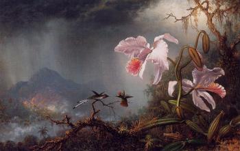 馬丁 約翰遜 赫德 Two Fighting Hummingbirds with Two Orchids 馬丁 約翰遜 赫德 Two Fighting Hummingbirds with Two Orchids